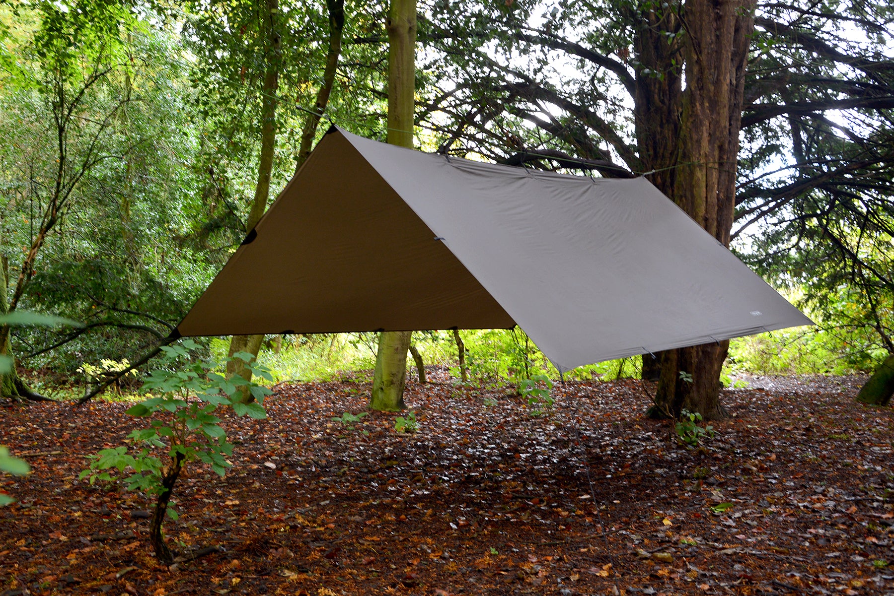 dd-superlight-tarp-vert-olive-3x3-m-ultra-l-ger-19-points image 6