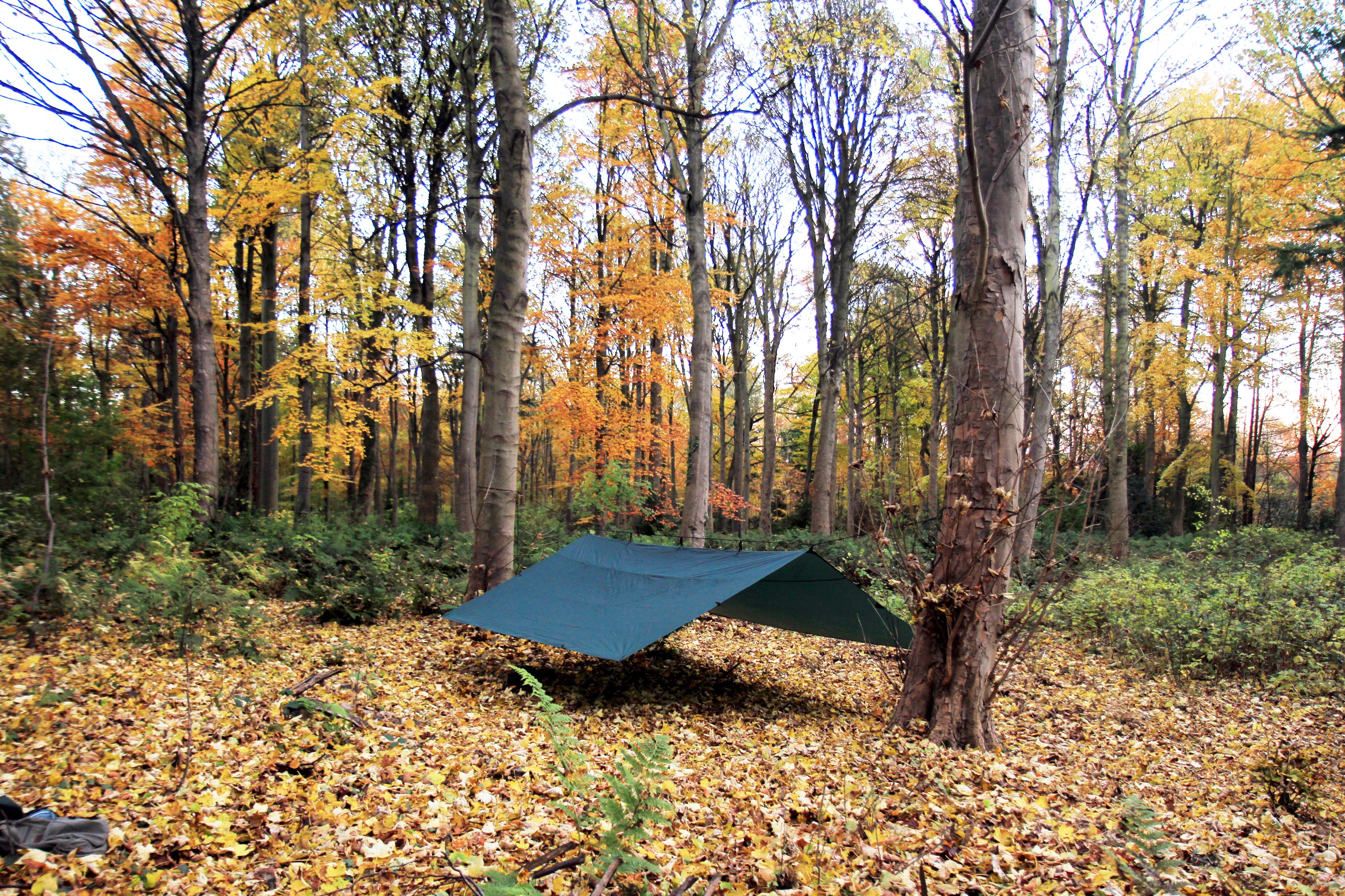dd-hammocks-tarp-4x4-b-che-4x4-m-vert-olive-tanche image 6