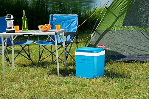 campingaz-icetime-plus-30-l-glaci-re-rigide-bouteilles image 6