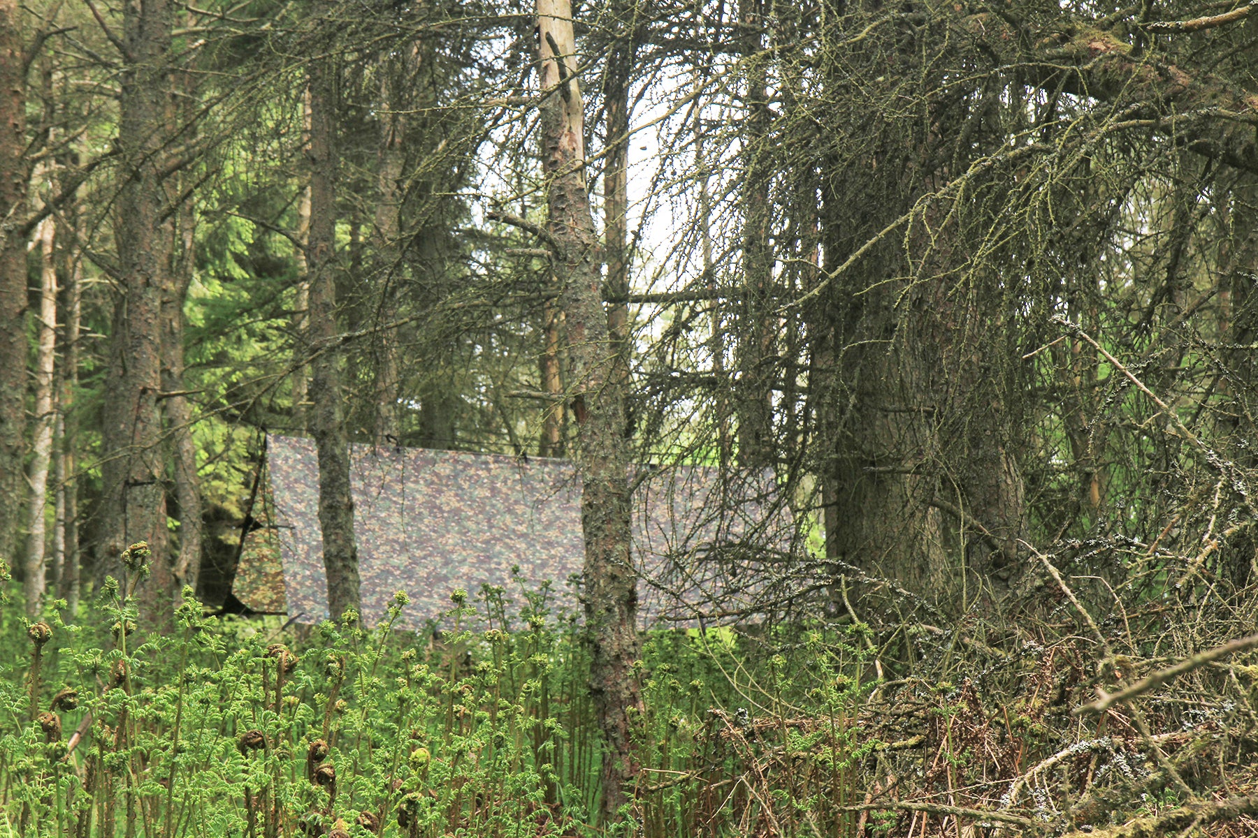 dd-hammocks-tarp-3x3-mc-bache-hamac-etanche-3000mm image 8