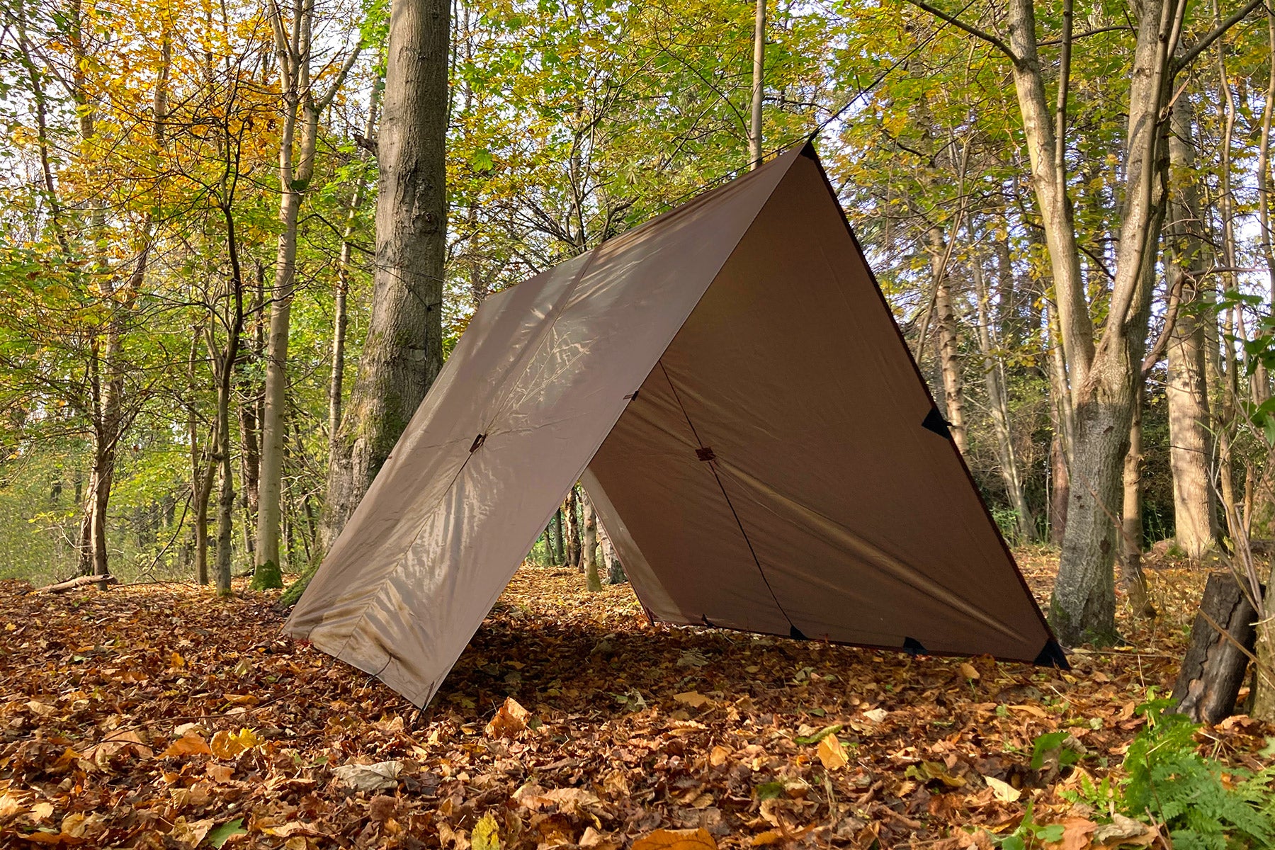 dd-hammocks-tarp-xl-b-che-hamac-4-5x3-m-vert-olive image 8