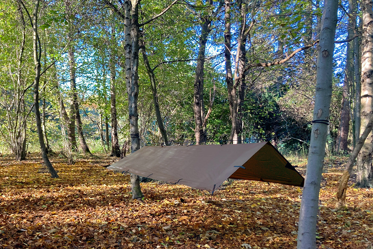 dd-hammocks-tarp-s-b-che-olive-green-1-personne image 8