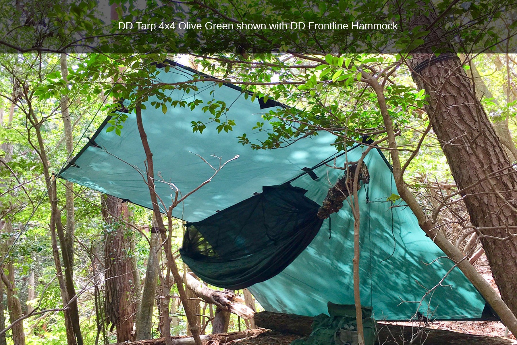 dd-hammocks-tarp-4x4-b-che-4x4-m-vert-olive-tanche image 7